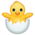 Chick
